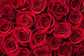 How Valentines Day Affects the Economy.